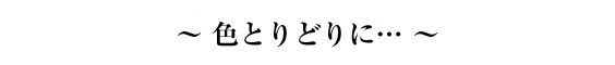 ～ 色とりどりに… ～