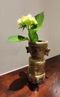 馬場邦明「灰被花生」